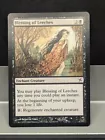 Blessing of Leeches
