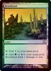 Brushland