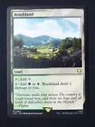 Brushland