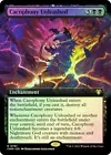 Cacophony Unleashed #