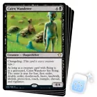 Cairn Wanderer