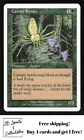 Canopy Spider