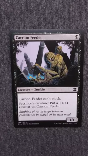 Carrion Feeder