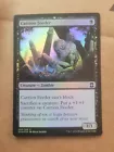 Carrion Feeder