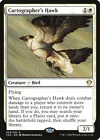Cartographer's Hawk #
