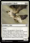 Cartographer's Hawk #