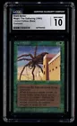 Giant Spider
