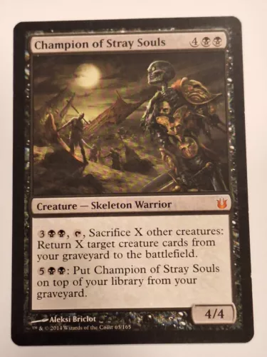 Champion of Stray Souls