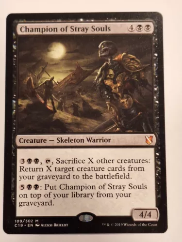 Champion of Stray Souls