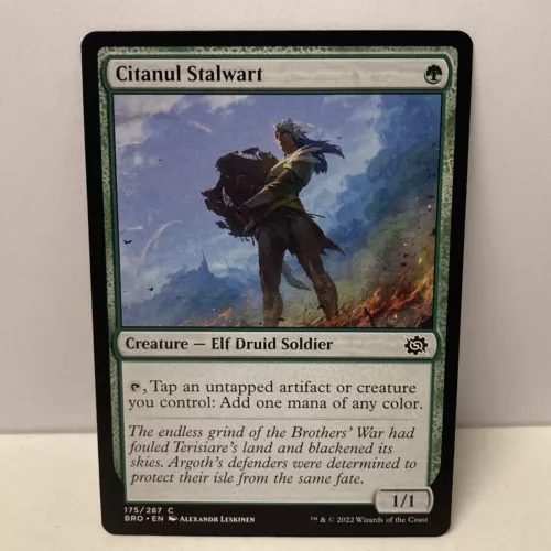 Citanul Stalwart #