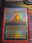 Wasteland [Borderless Foil] #