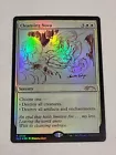 Cleansing Nova