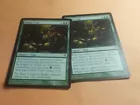 Cobra Trap
