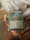 Cryptic Trilobite