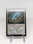 Cryptic Trilobite