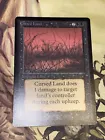 Cursed Land