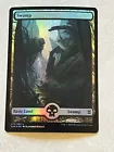 Swamp