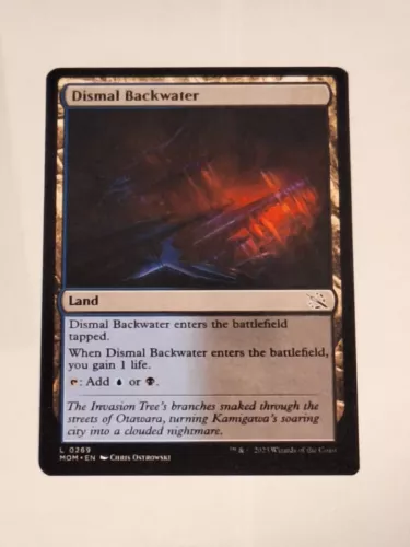 Dismal Backwater