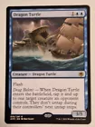 Dragon Turtle