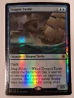 Dragon Turtle