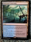 Drowned Catacomb [Foil] #