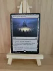 Drownyard Temple