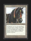 Ebony Horse