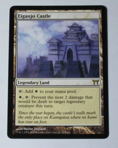 Eiganjo Castle #