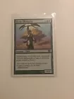 Elvish Champion