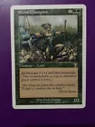 Elvish Champion