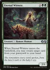 Eternal Witness #