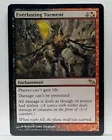 Everlasting Torment