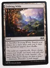 Evolving Wilds [Foil] #