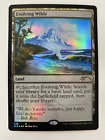 Evolving Wilds