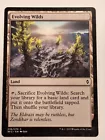 Evolving Wilds