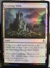 Evolving Wilds