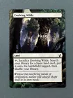 Evolving Wilds
