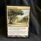 Exotic Orchard