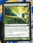 Explosive Vegetation