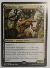 Wickerbough Elder