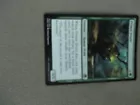 Primal Druid