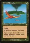 Birds Of Paradise [Retro] #