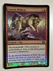 Canyon Wildcat