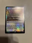 Salt Marsh