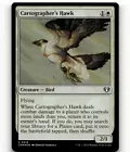 Cartographer's Hawk #