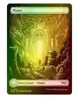 Plains