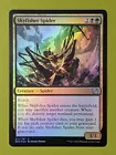 Canopy Spider