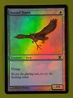Suntail Hawk