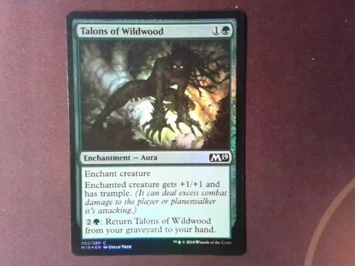Talons of Wildwood