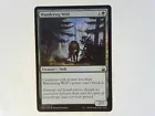 Wandering Wolf